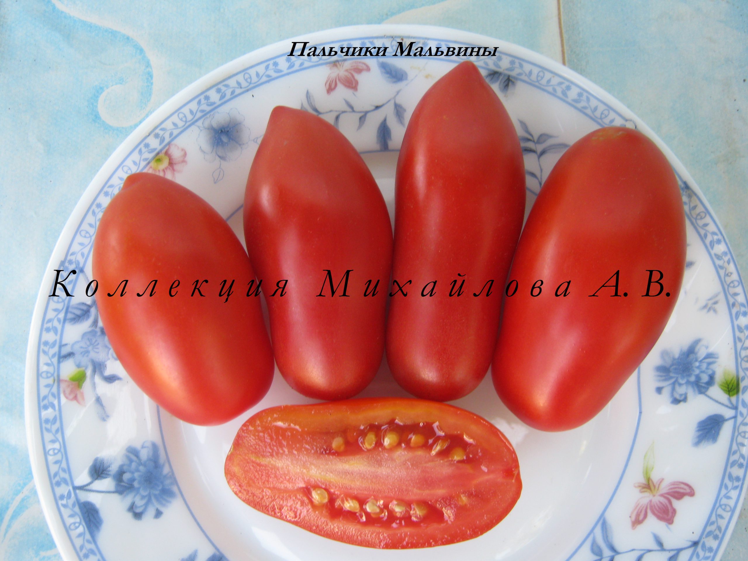 Пальчики мальвины томат характеристика и описание сорта фото