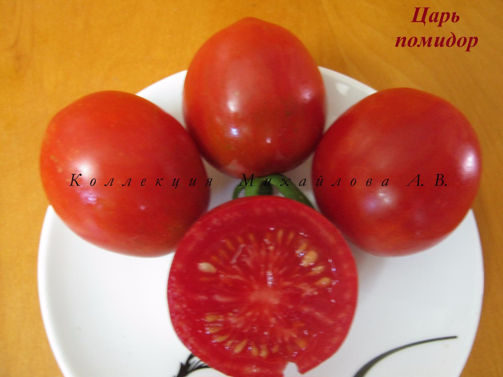 Сорта томатов царь горы